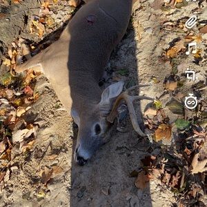 Meet your Posher, Seth